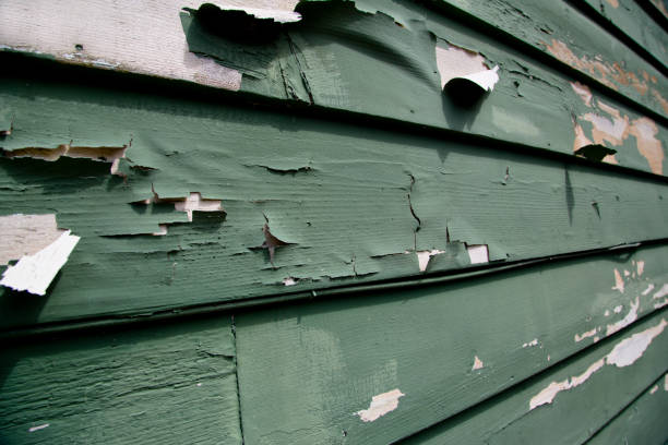 Best Recycling Services for Junk  in Belmont, CA