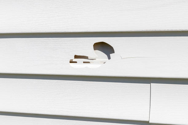 Best Shed Removal  in Belmont, CA